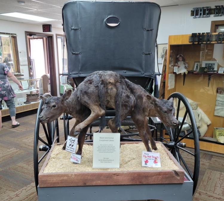 West Texas Trail Museum (Moorcroft,&nbspWY)